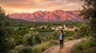 Ojai, California: The Complete 2026 Travel Guide